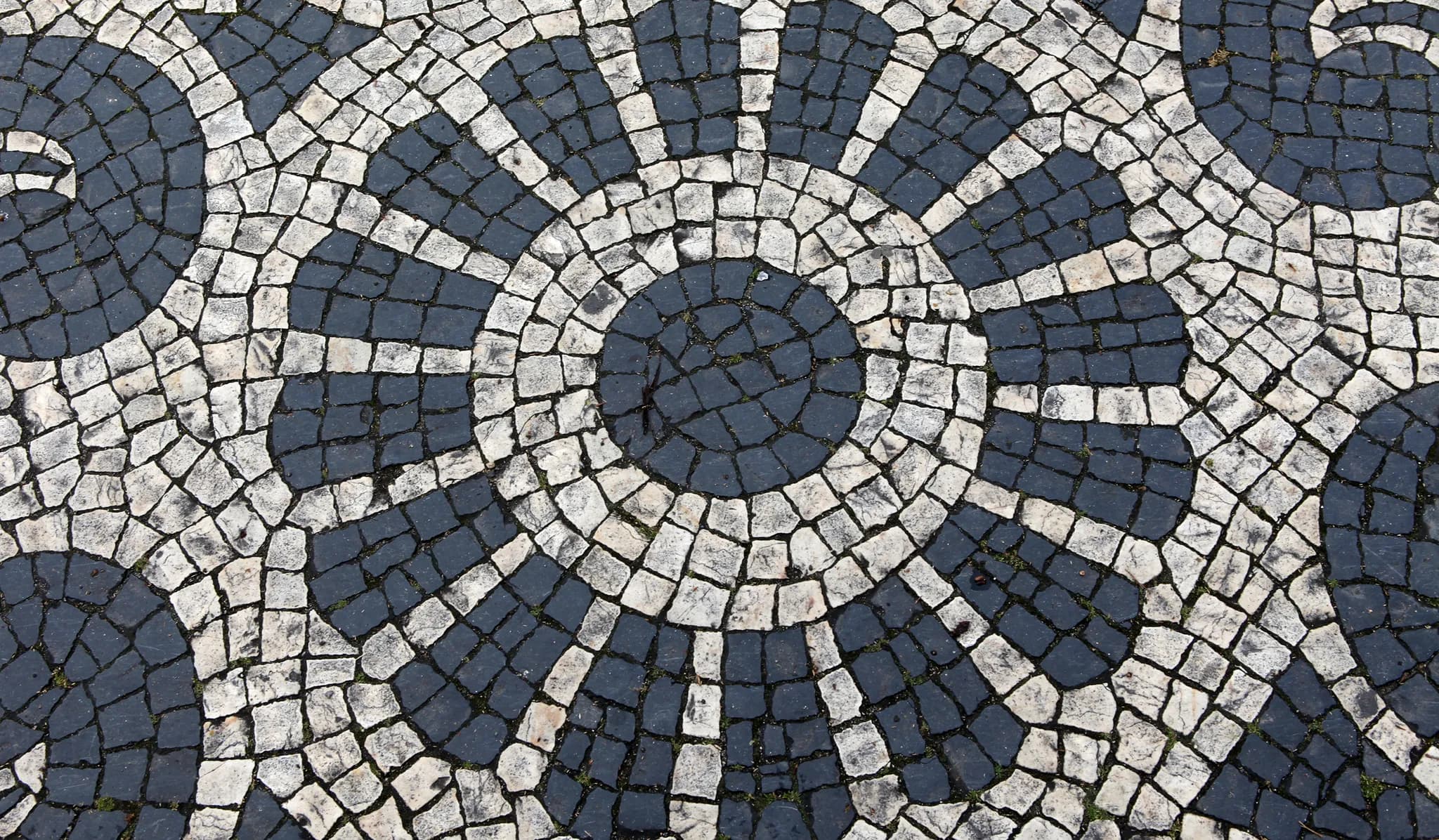 Detalle de un dibujo circular de calzada en piedra blanca y negra, con cada pieza cortada y colocada a mano
