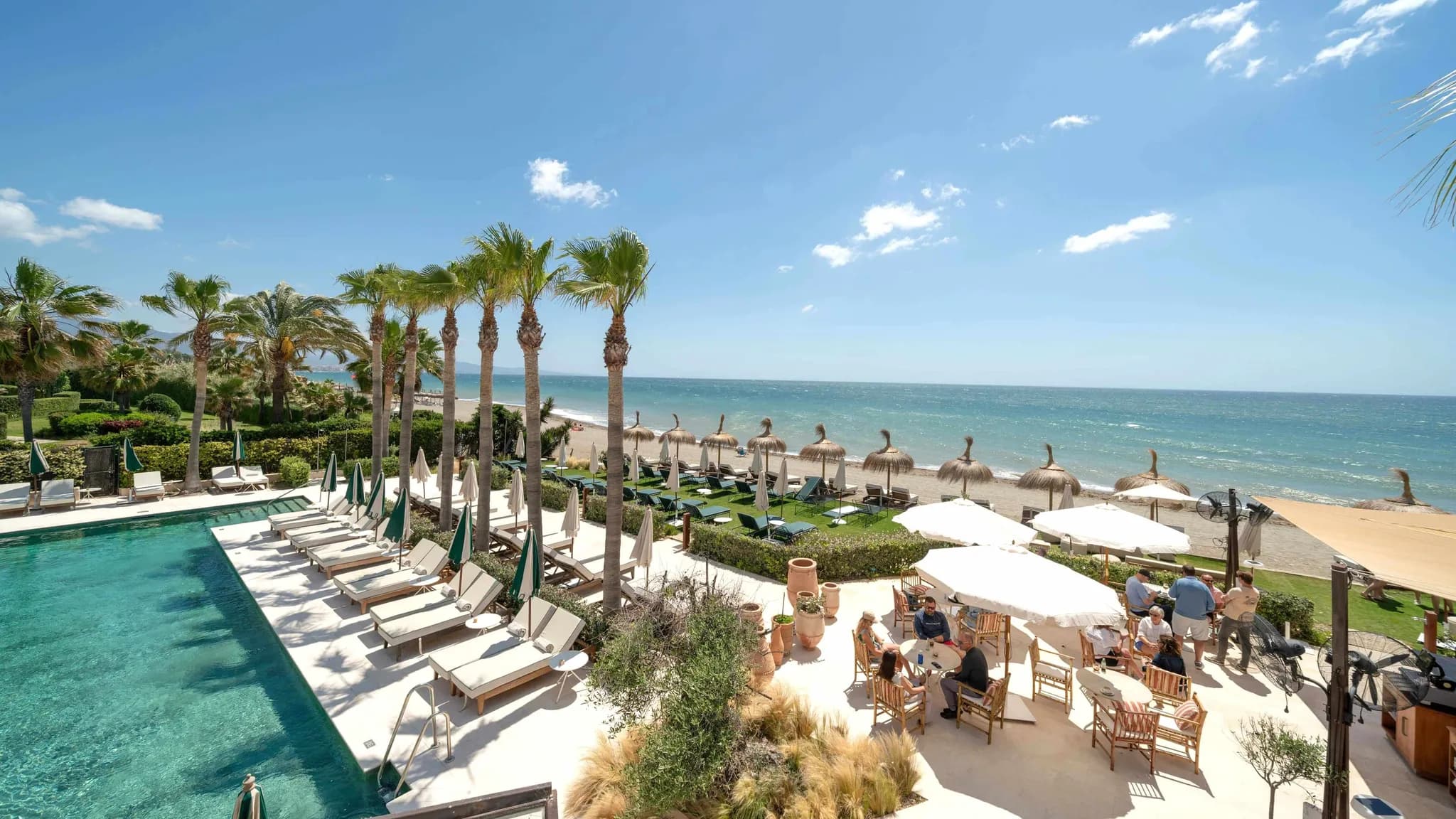 Piscina de un hotel frente a la playa, rodeada de palmeras y tumbonas, con invitados en la terraza junto al mar
